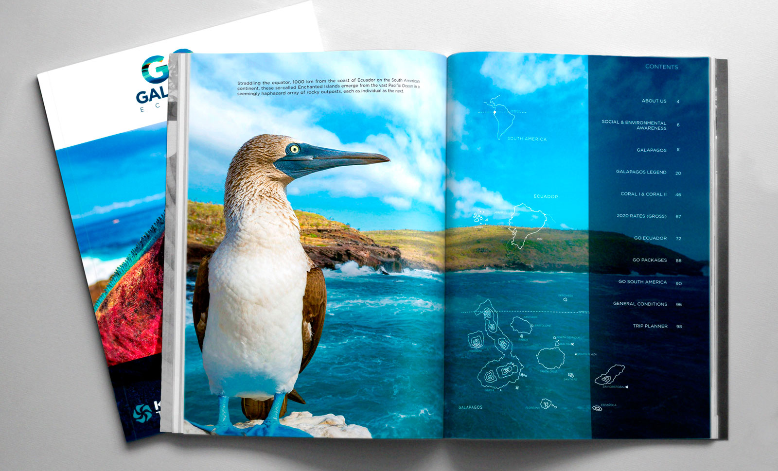 Informative brochure