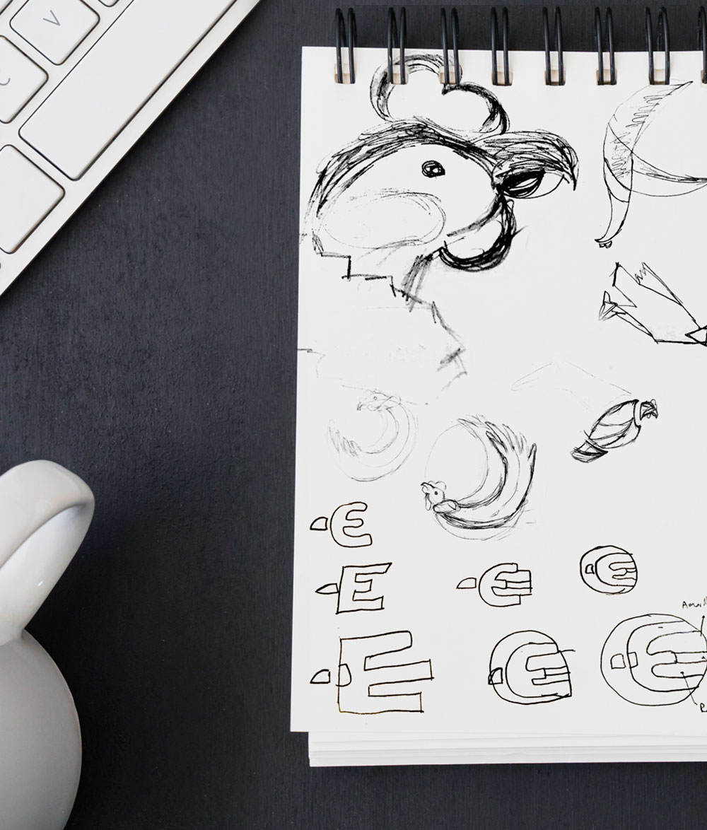 Logo and Brand Manual Design